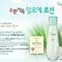 Piggy Shop - Cosmetics , Cute Clothes , Beauty Care
